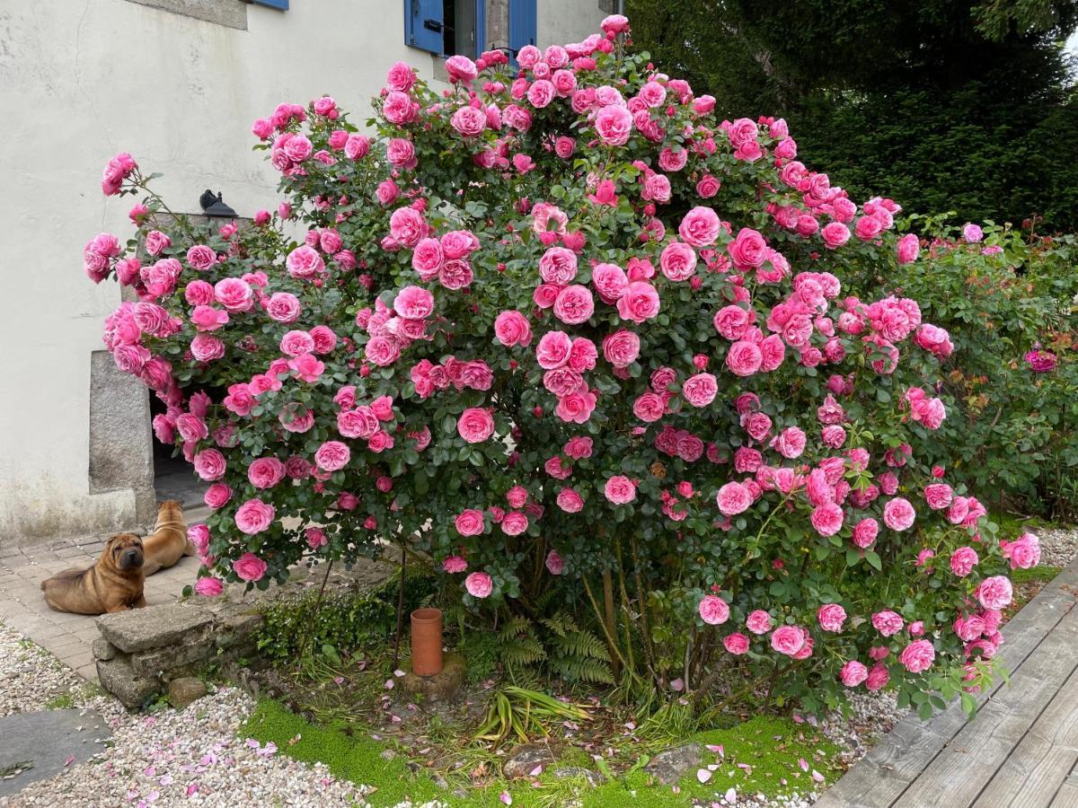 Chez Nosch Bed & Breakfast Plouegat-Guerand Exterior photo